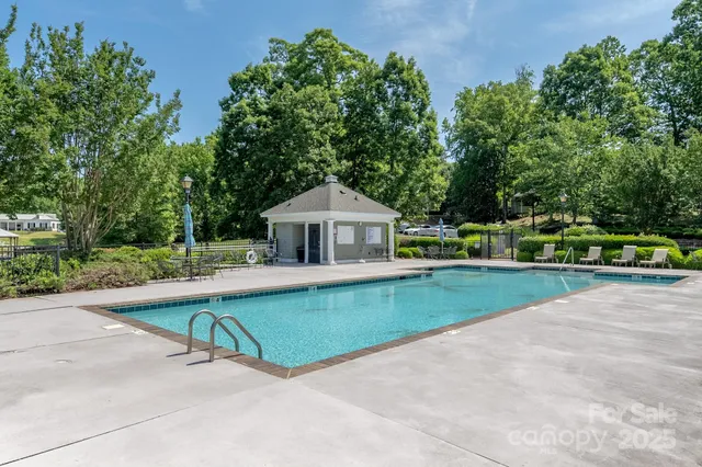 a view of a yard with plants and large trees