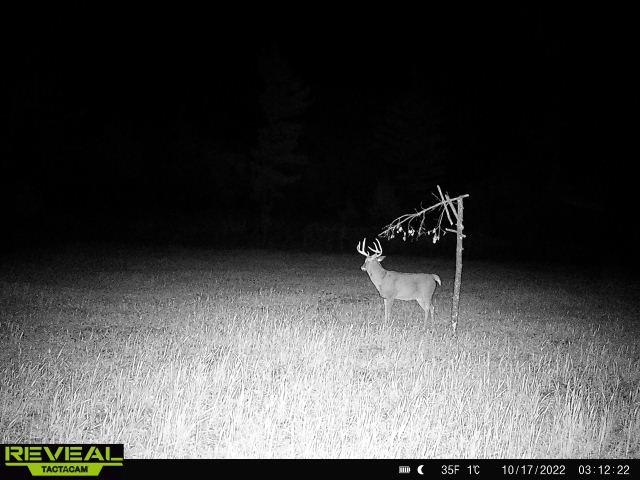 Lot 4 Grayling Tomah, WI 54660 - Photo 41 of 50