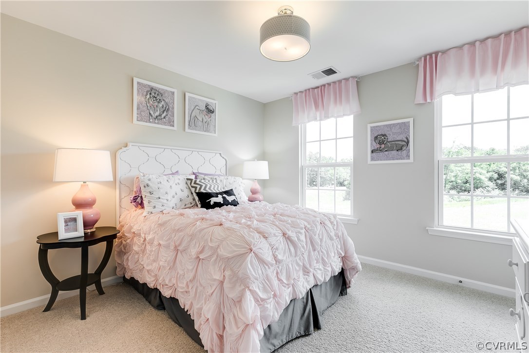 8500 Bailey Hill Road Midlothian, VA 23112 - Photo 32 of 46 Gallery Image 32