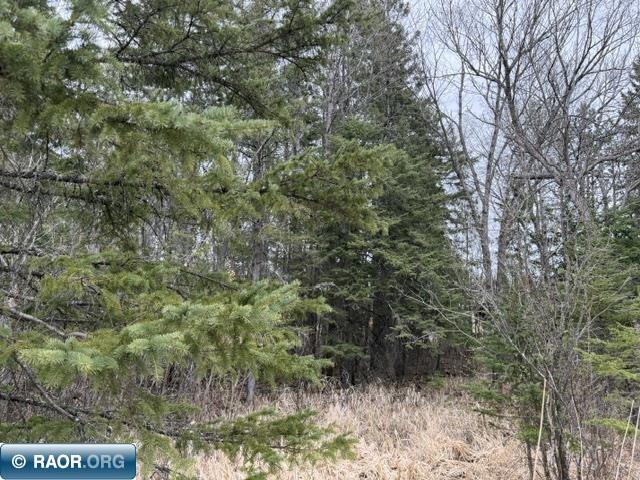 Tbd 5th Street Southeast Cook, MN 55723 - Photo 8 of 14