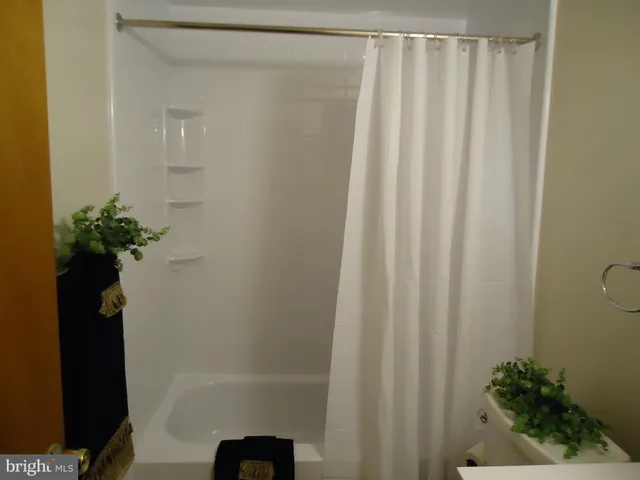 a bathroom with a shower curtain and a potted plant