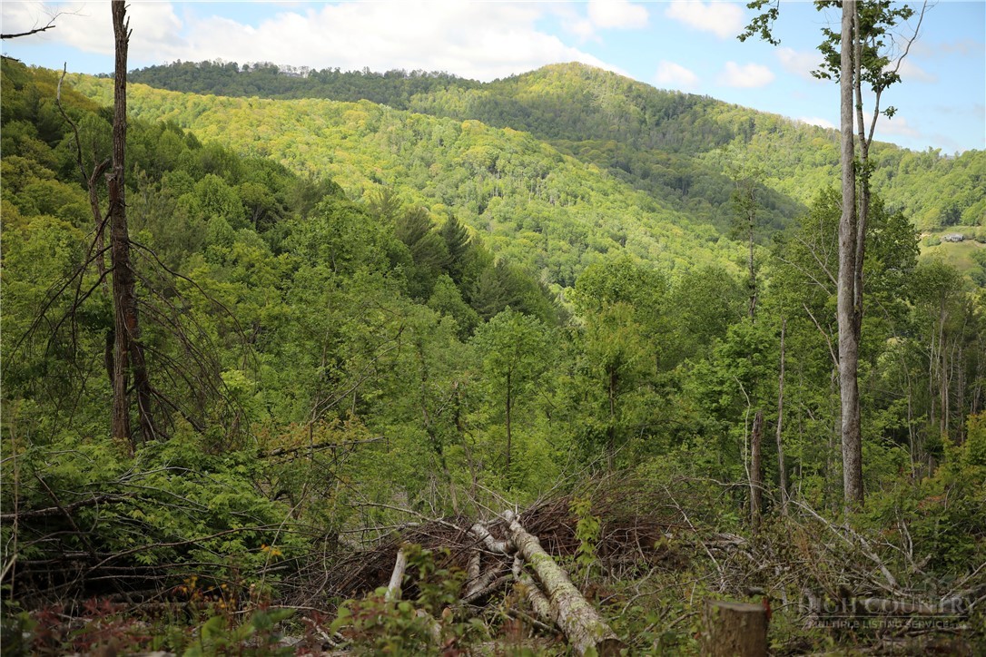 461 Reuben Wooten Road Banner Elk, NC 28604 - Photo 39 of 39 a view of a lush green forest with a mountain