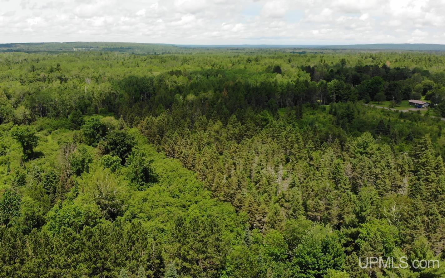 7124 1 Mile Road Trout Creek, MI 49967 - Photo 56 of 66
