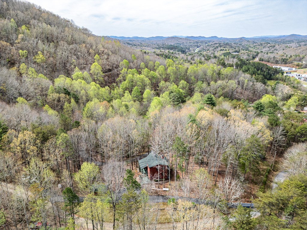 115 New Castle Road Murphy, NC 28906 - Photo 42 of 52 Gallery Image 42