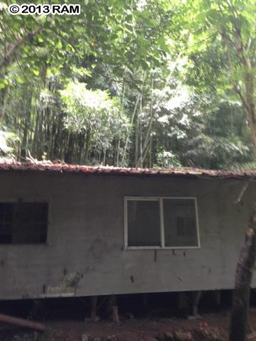 0 Haiku Road Haiku, HI 96708 - Photo 11 of 16 a view of outdoor space and yard