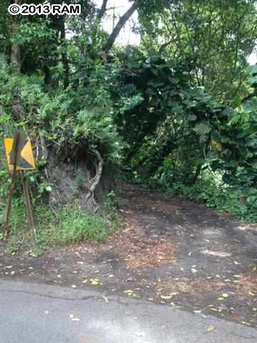 0 Haiku Road Haiku, HI 96708 - Photo 15 of 16 a view of a forest with trees in the background