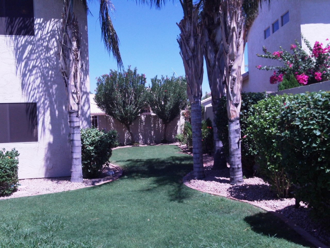 3513 East Clark Road Phoenix, AZ 85050 - Photo 9 of 27 Right Side