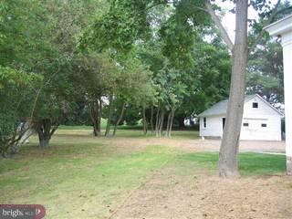 7039 East Valley Green Road Flourtown, PA 19031 - Photo 6 of 6 Gallery Image 6