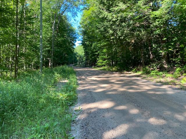 Seldon Road Petoskey, MI 49770 - Photo 16 of 21 Gallery Image 16