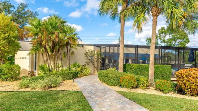 a view of a garden with a plants and palm trees