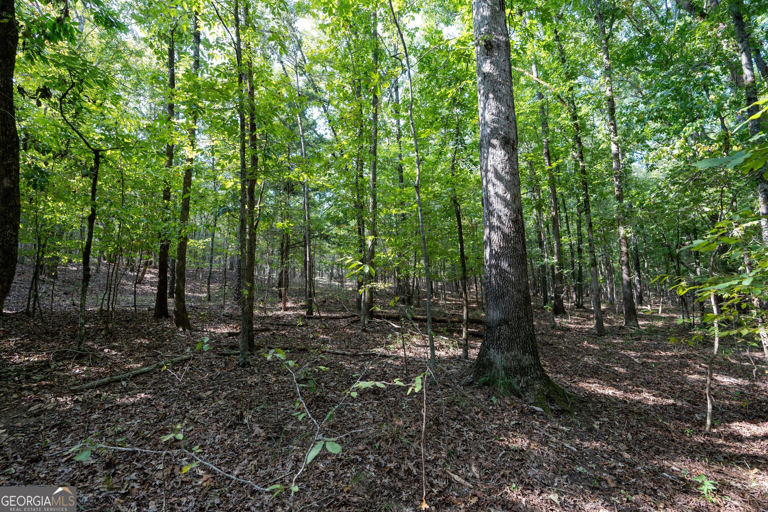1419 Bobby Brown State Park Road Elberton, GA 30635 - Photo 57 of 90 Gallery Image 57