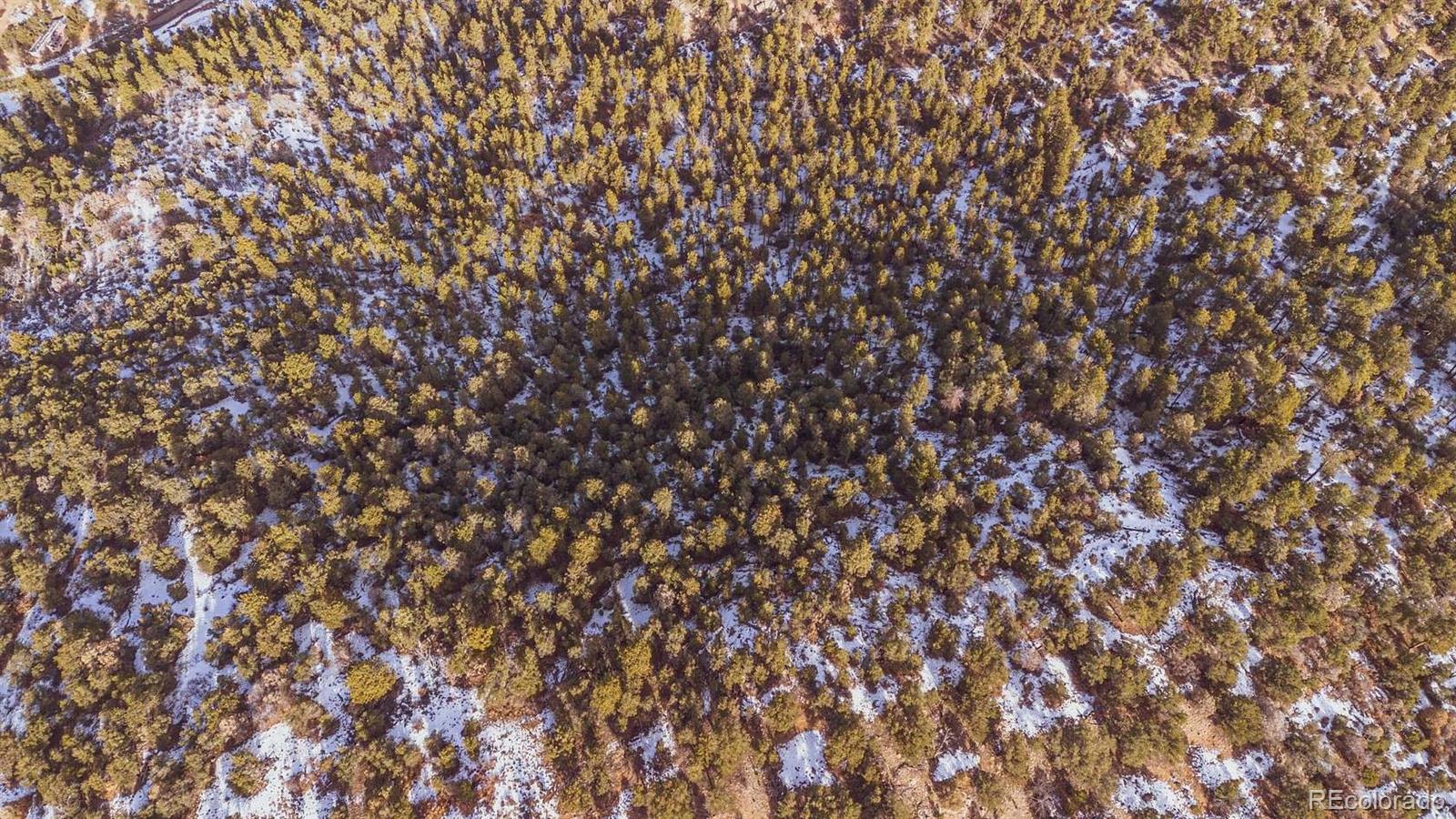 Gulch Road Cotopaxi, CO 81223 - Photo 12 of 16