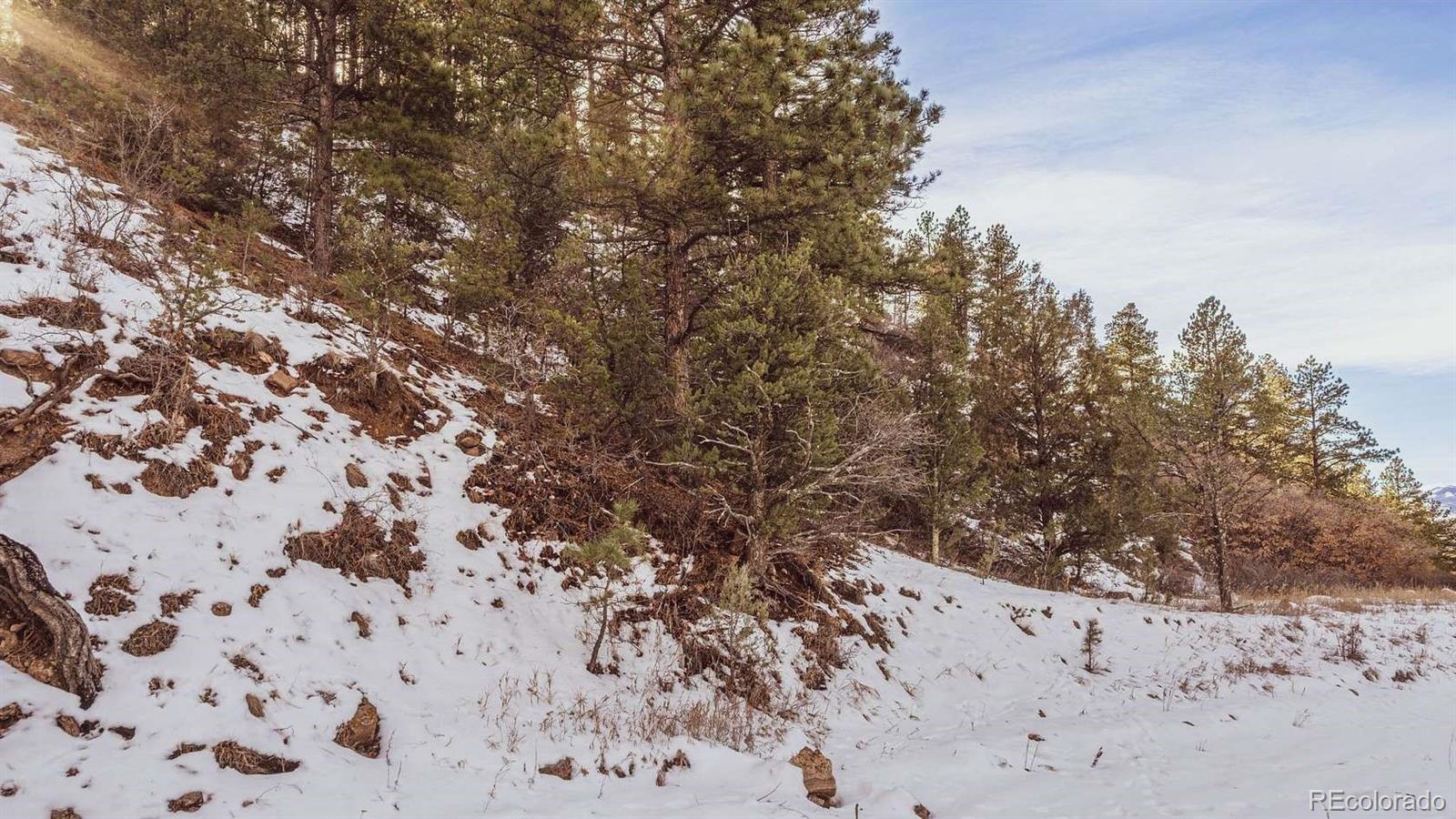 Gulch Road Cotopaxi, CO 81223 - Photo 2 of 16