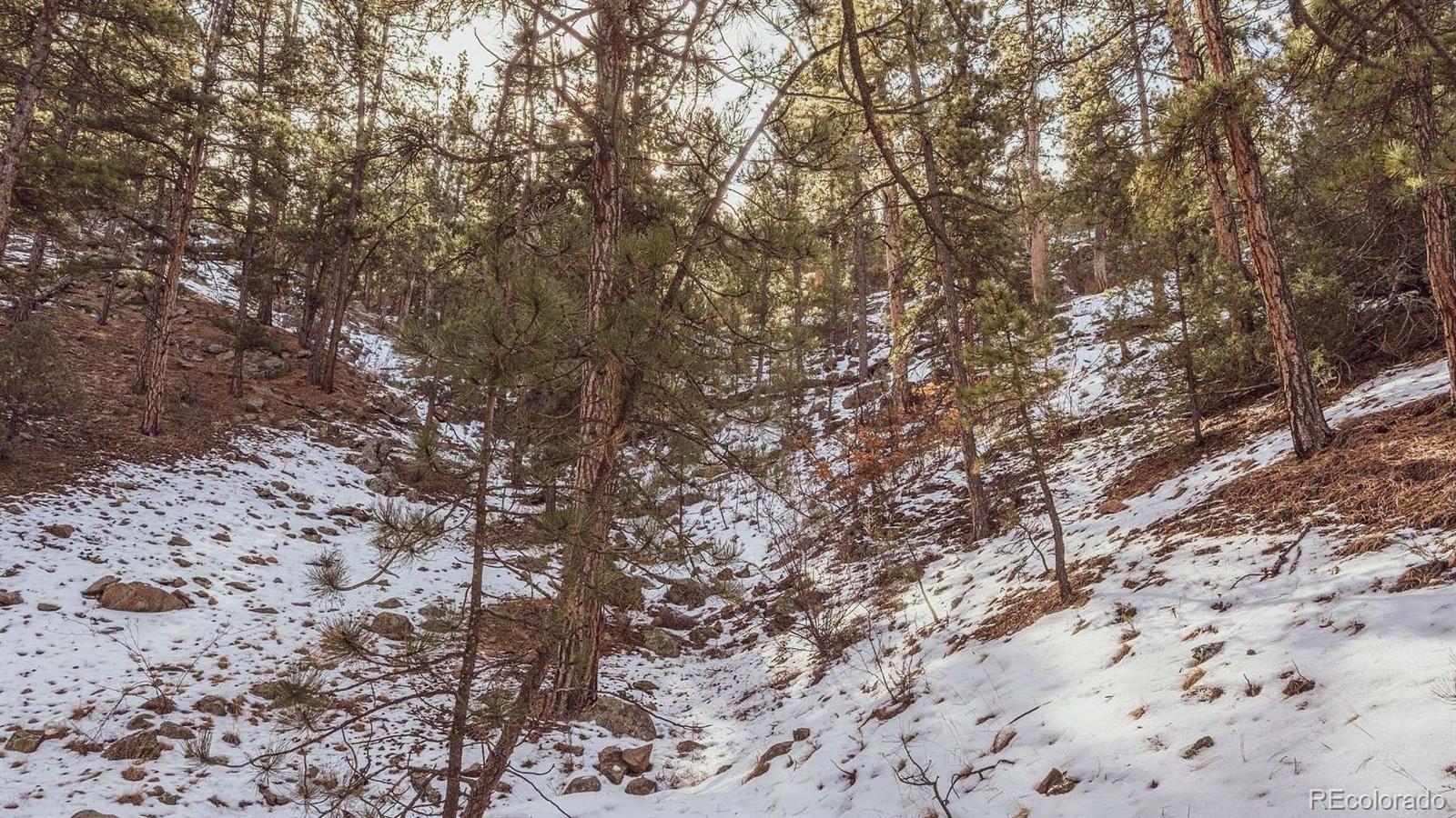 Gulch Road Cotopaxi, CO 81223 - Photo 4 of 16