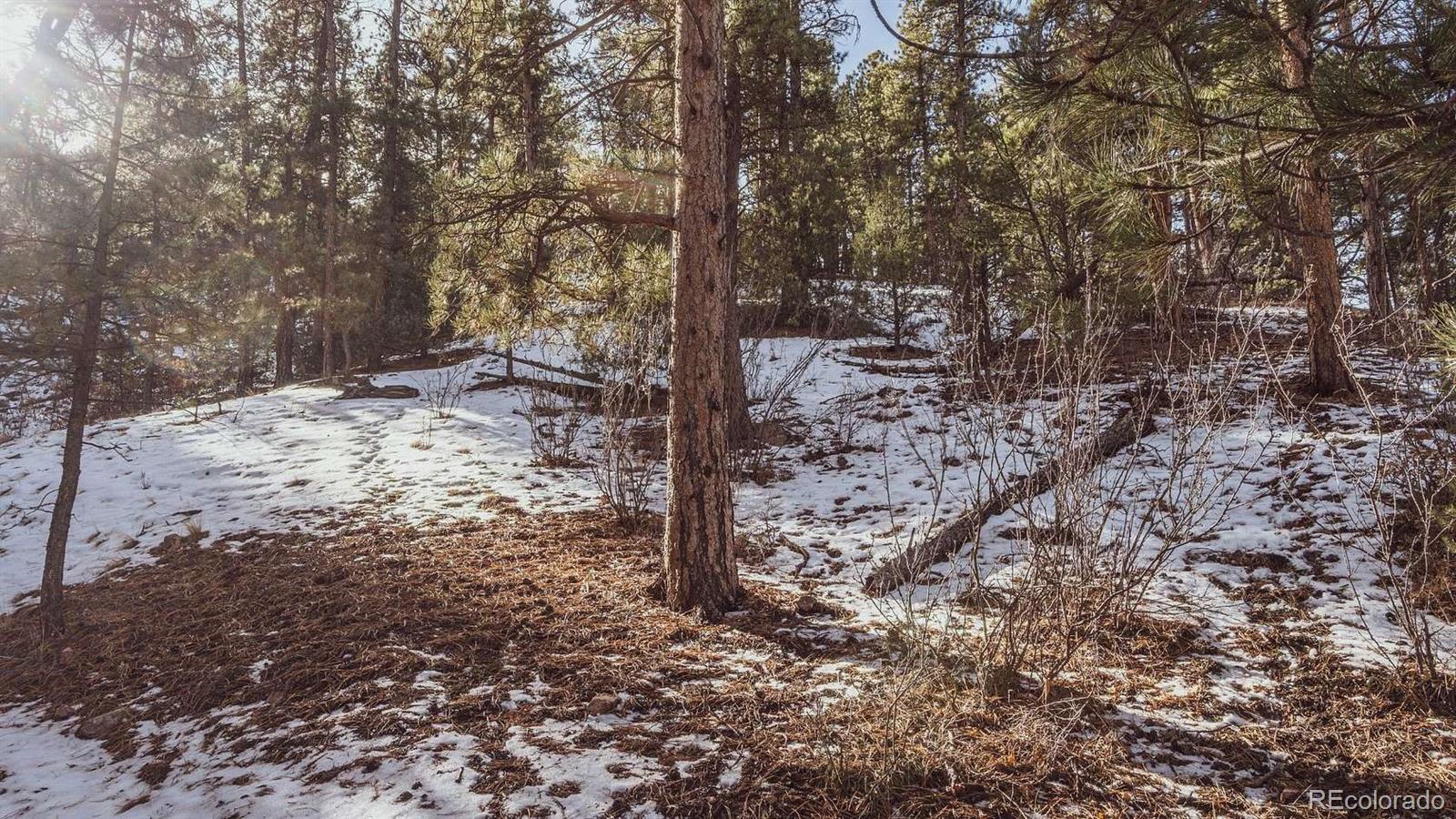 Gulch Road Cotopaxi, CO 81223 - Photo 5 of 16