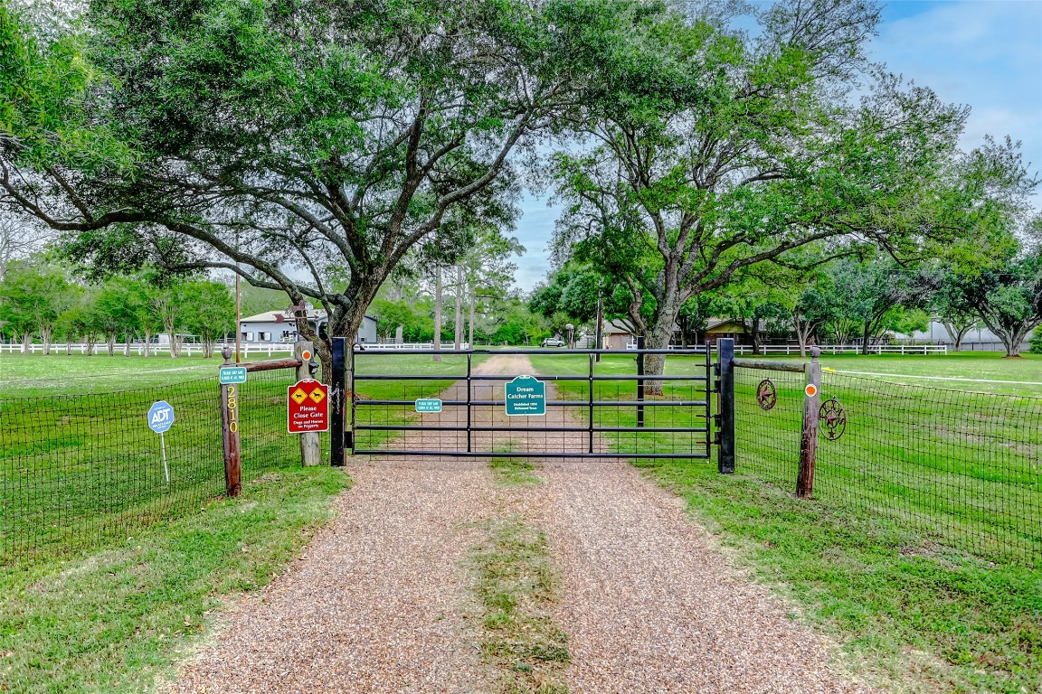 a view of park with a bench in a park