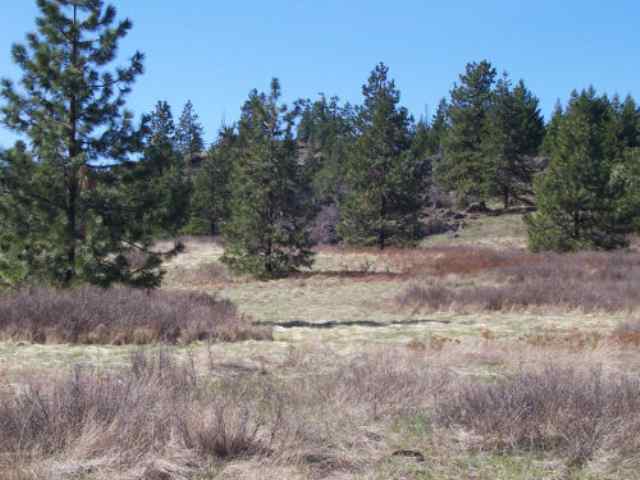 Lot B Off Bissell Road Gifford, WA 99131 - Photo 4 of 8