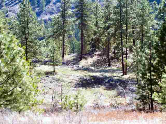 Lot B Off Bissell Road Gifford, WA 99131 - Photo 7 of 8