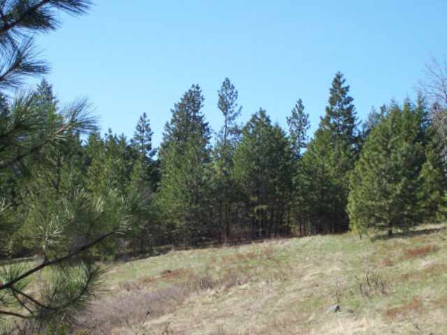 Lot B Off Bissell Road Gifford, WA 99131 - Photo 8 of 8