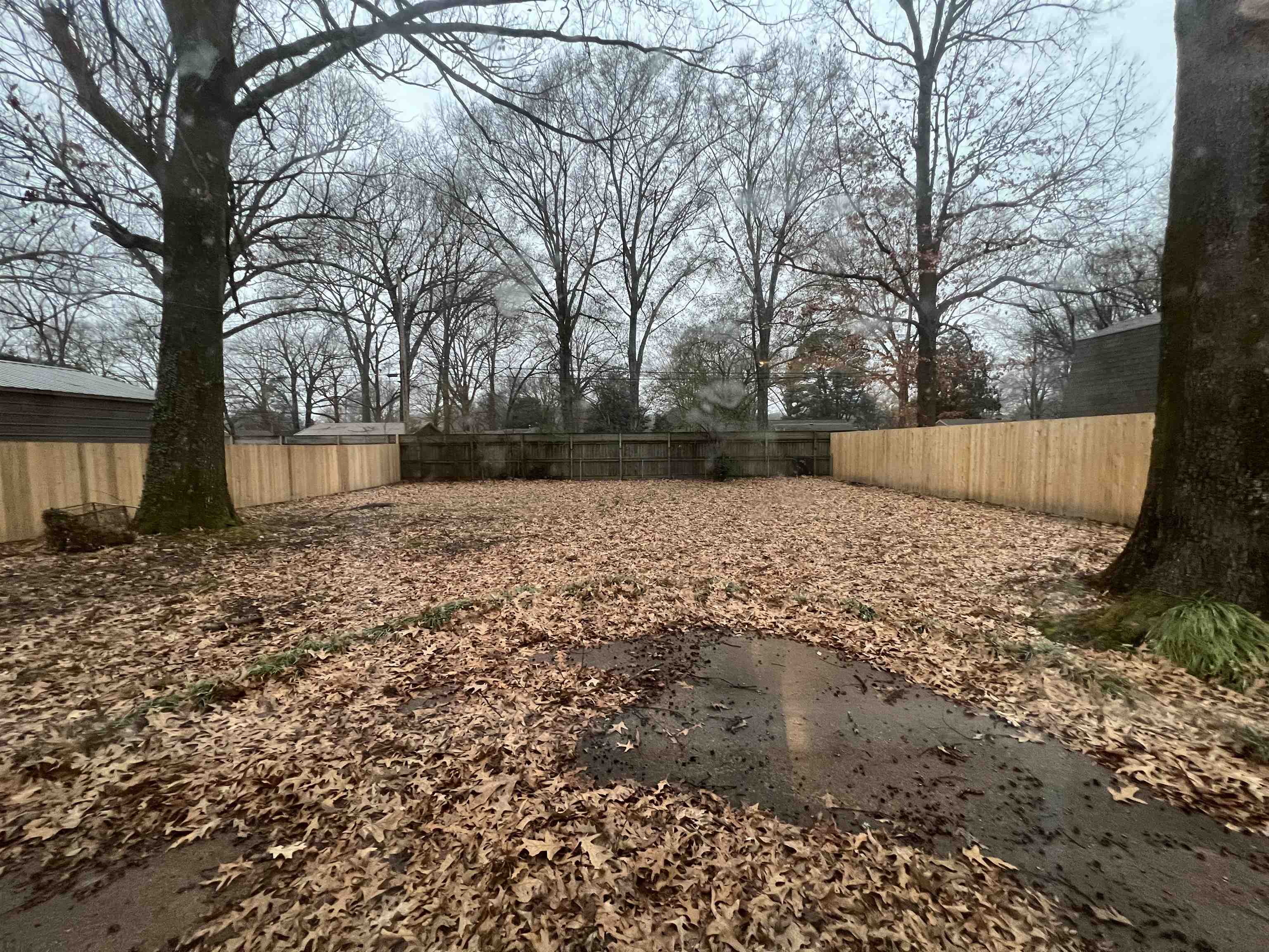 1653 Colonial Road Memphis, TN 38117 - Photo 15 of 15 a view of a yard with trees