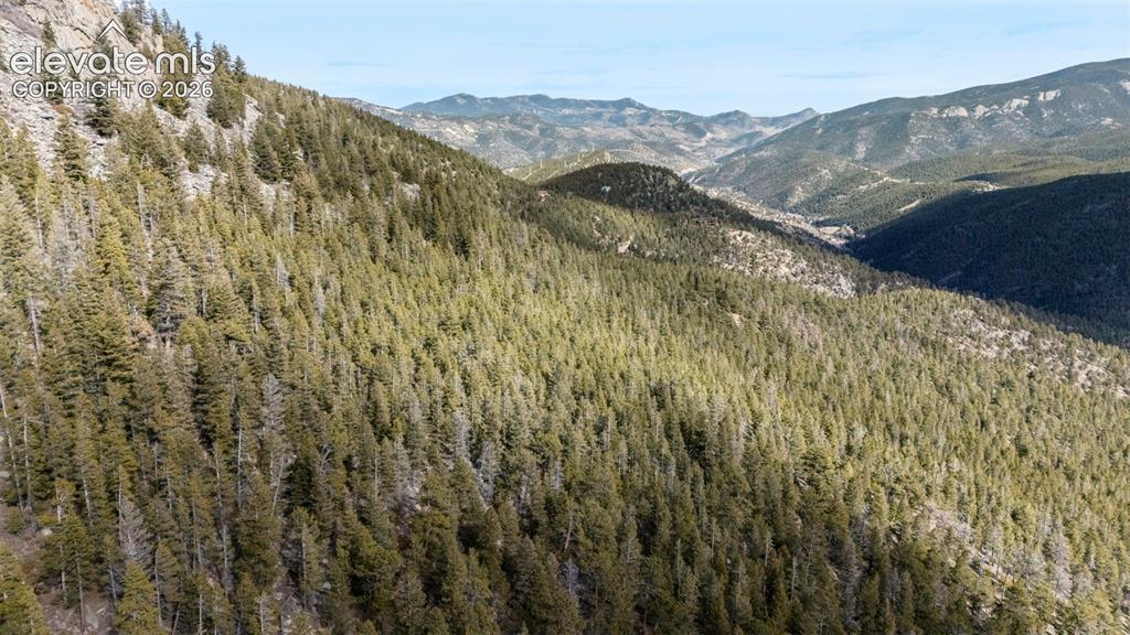 Alps Mountain Road Idaho Springs, CO 80452 - Photo 6 of 7