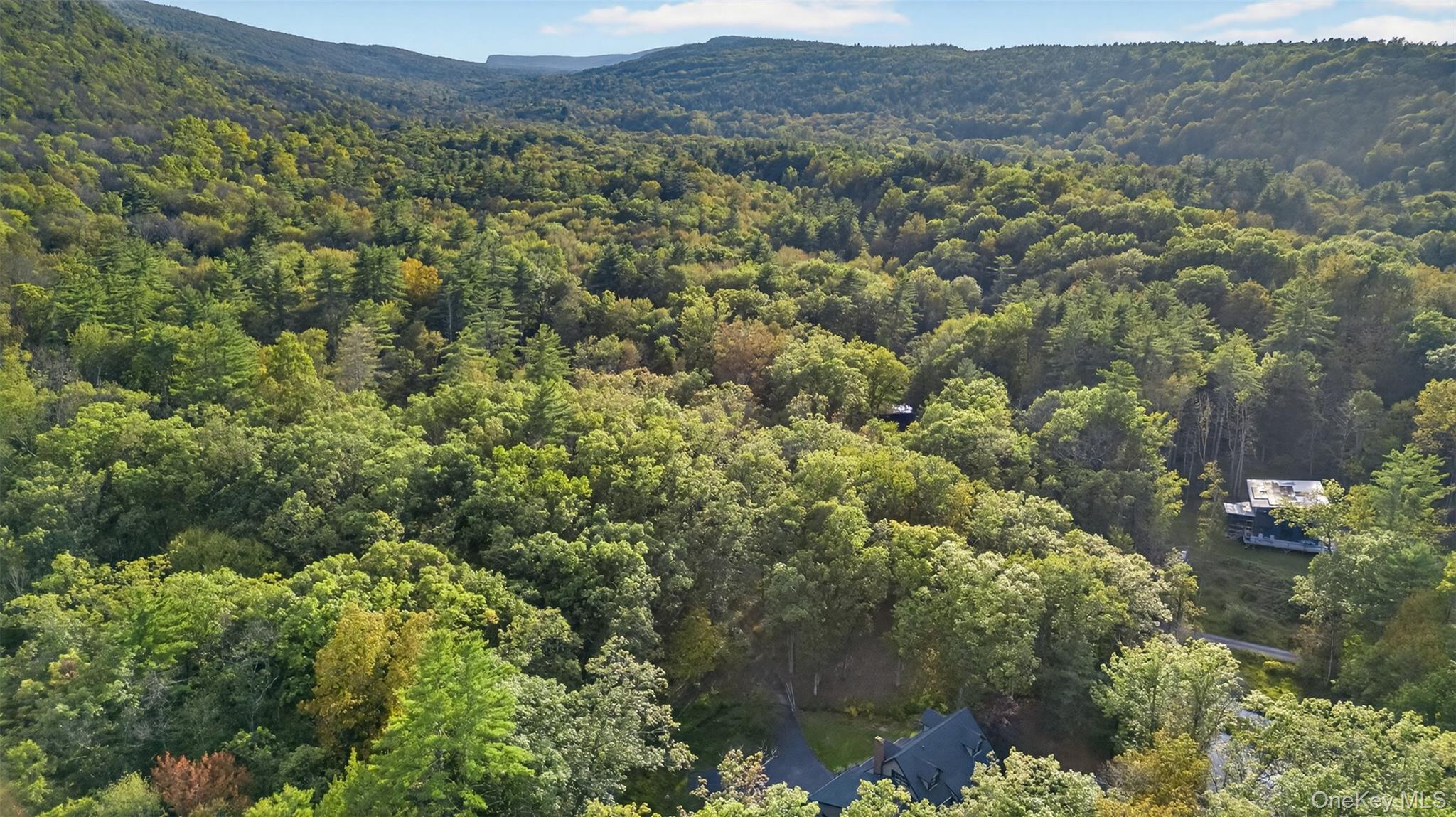 55 Ginger Road High Falls, NY 12440 - Photo 35 of 37 a view of a forest with a lush green forest
