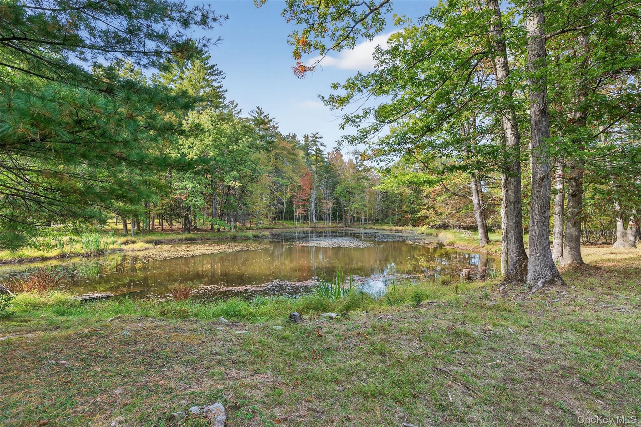 55 Ginger Road High Falls, NY 12440 - Photo 40 of 47 a view of lake with green space