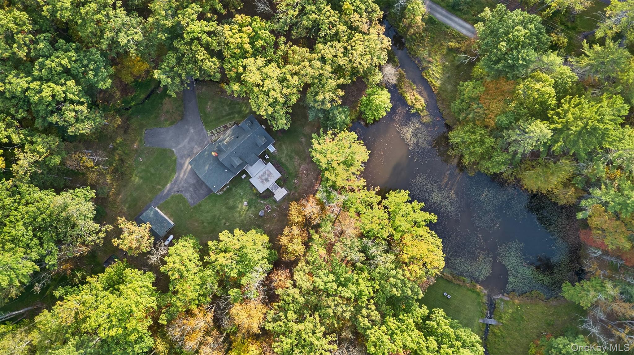 55 Ginger Road High Falls, NY 12440 - Photo 43 of 47 a picture of flowers