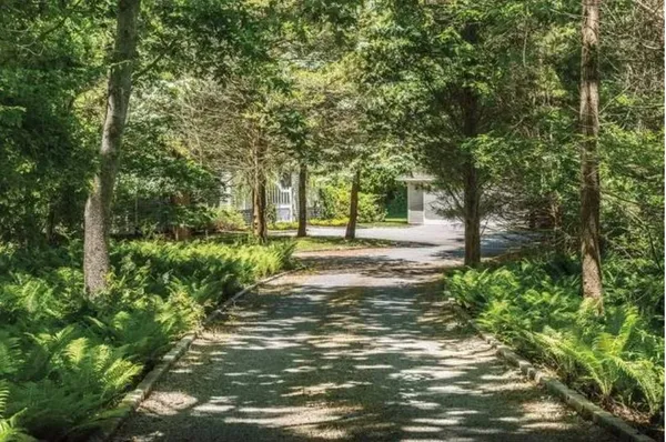 a view of a yard with plants and trees