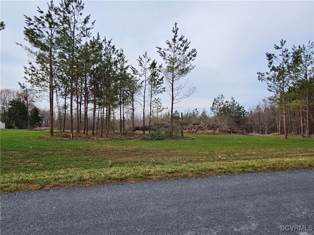 0 Salem Road Dillwyn, VA 23936 - Photo 1 of 11 Gallery Image 1
