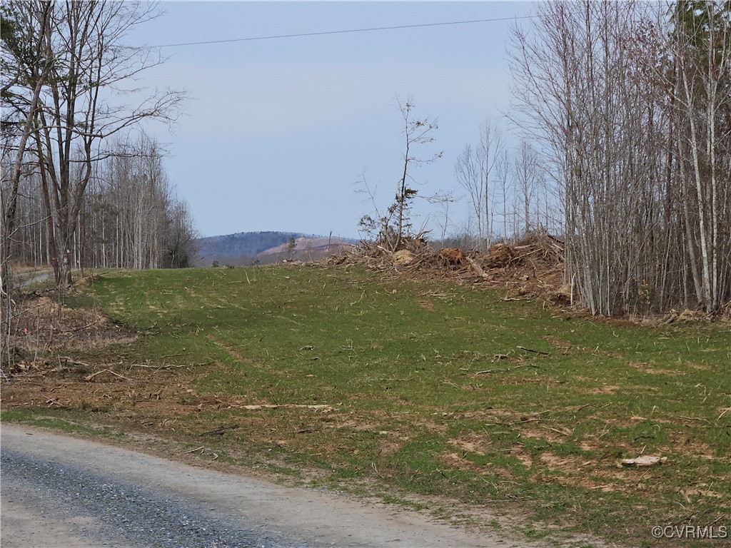 0 Salem Road Dillwyn, VA 23936 - Photo 5 of 11 Gallery Image 5