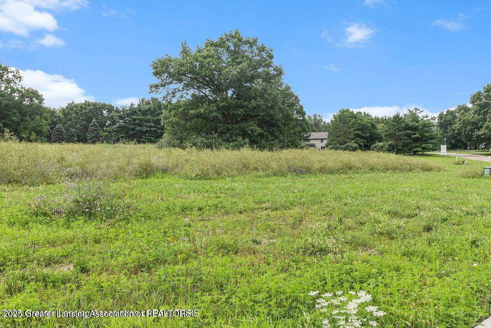 16725 Tormiston Road Haslett, MI 48840 - Photo 8 of 10 7
