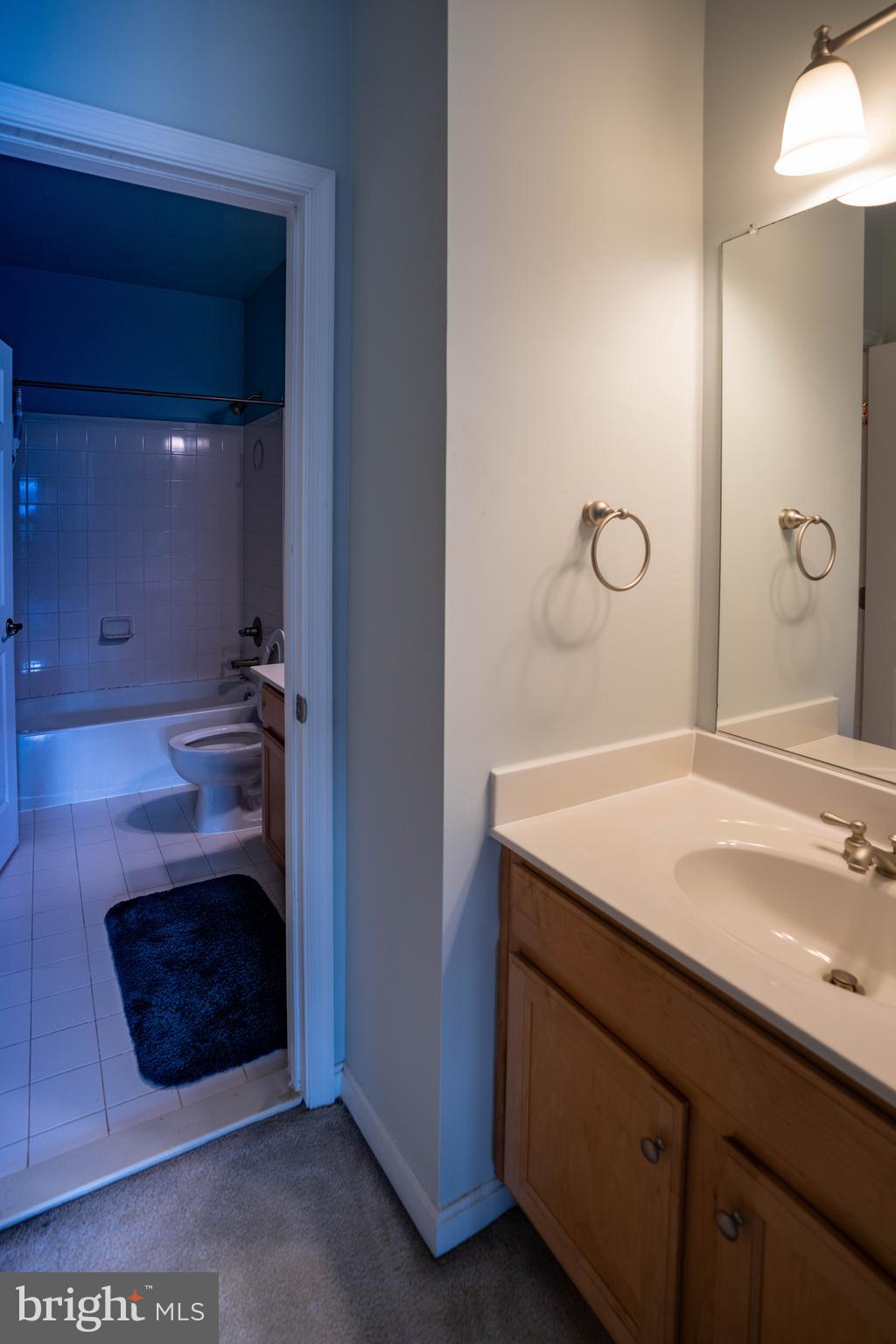 9571 Linnett Hill Drive Lorton, VA 22079 - Photo 14 of 27 a bathroom with a sink and a mirror