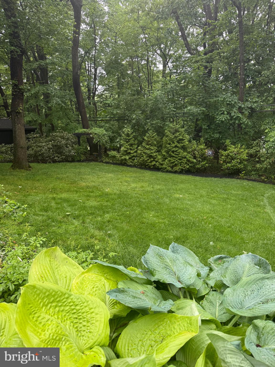 552 Custis Road Glenside, PA 19038 - Photo 27 of 29 You can hear a pin drop it’s so quiet