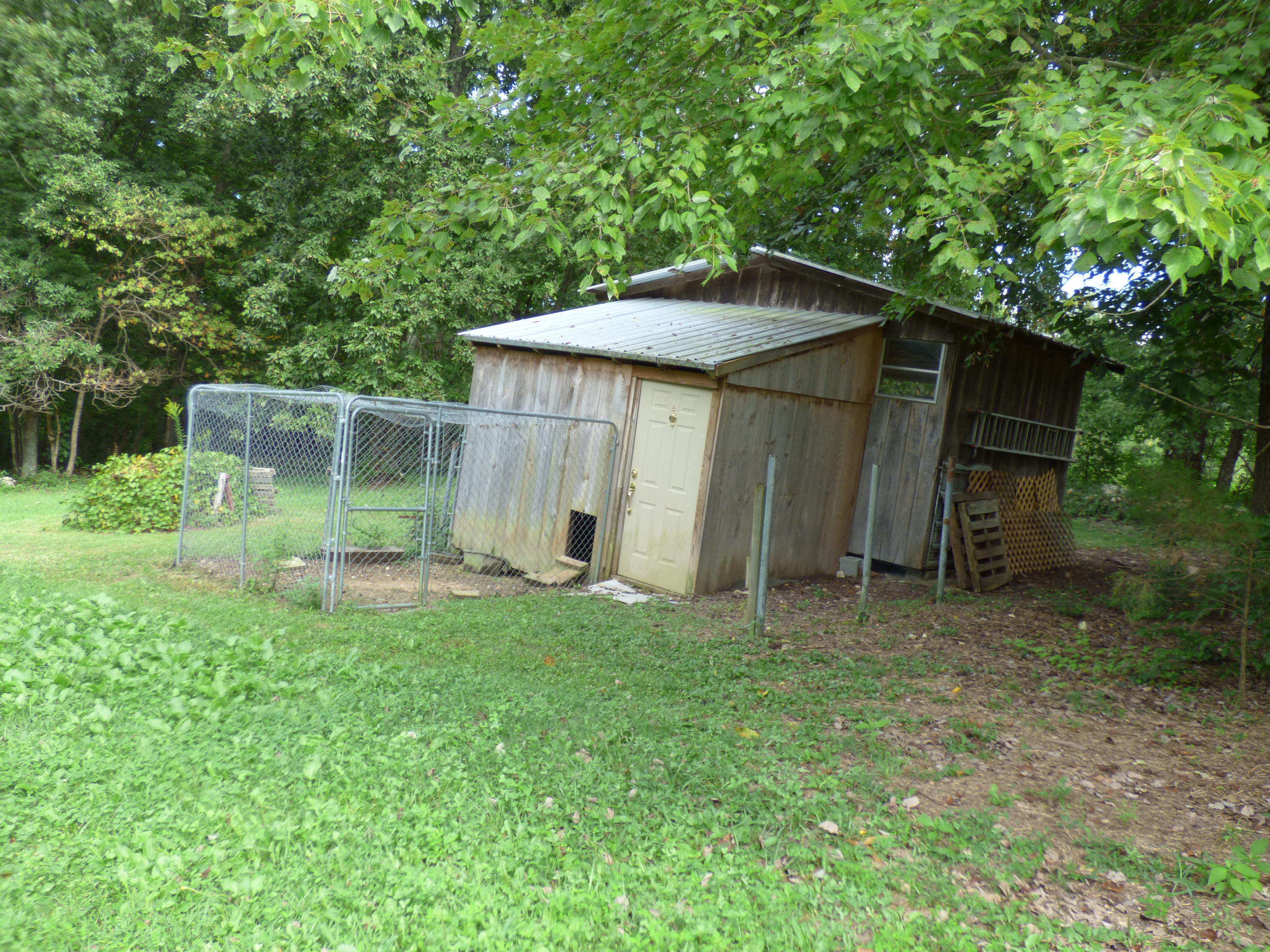 191 Boyer Road Andersonville, TN 37705 - Photo 36 of 39 P1000361