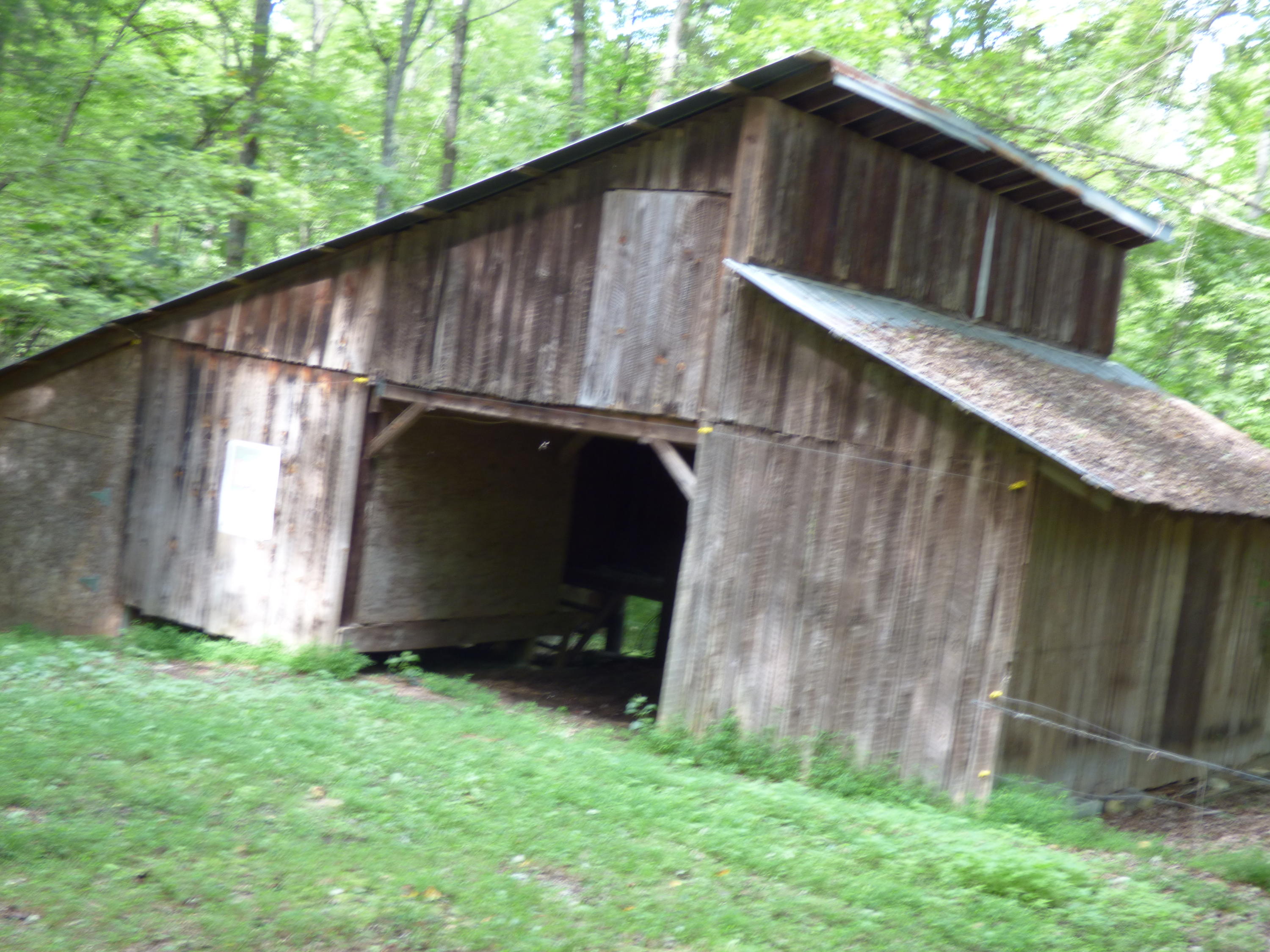 191 Boyer Road Andersonville, TN 37705 - Photo 39 of 39 P1000365