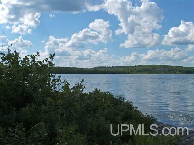 2915 Quinlan Spur Road Long Lake, WI 54542 - Photo 6 of 14 Gallery Image 6