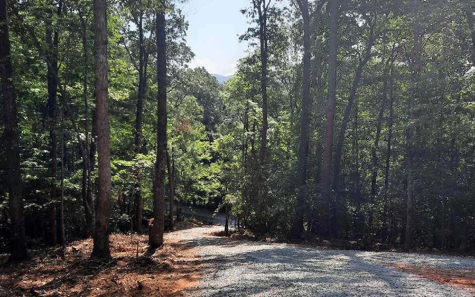 29 Possum Poke Road Ellijay, GA 30536 - Photo 10 of 24 Additional View