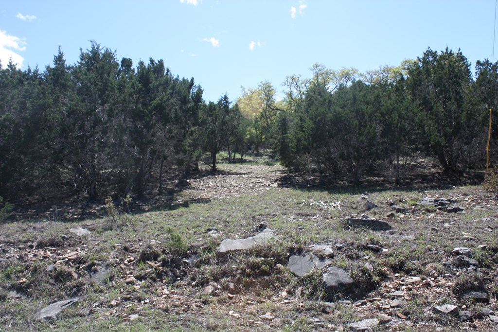 315 Lake Ridge Road Kerrville, TX 78028 - Photo 2 of 5 Gallery Image 2