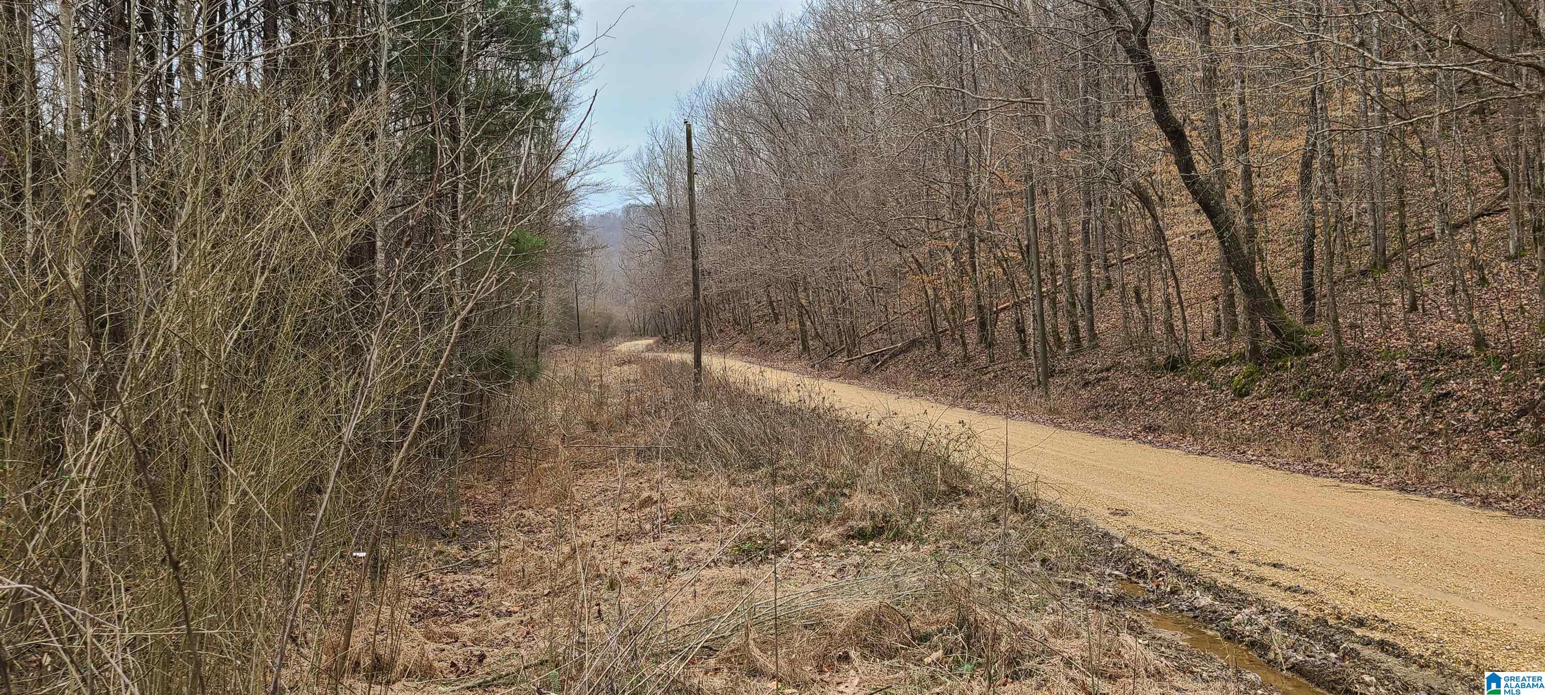 0 Wolf Creek Road Carbon Hill, AL 35549 - Photo 26 of 29