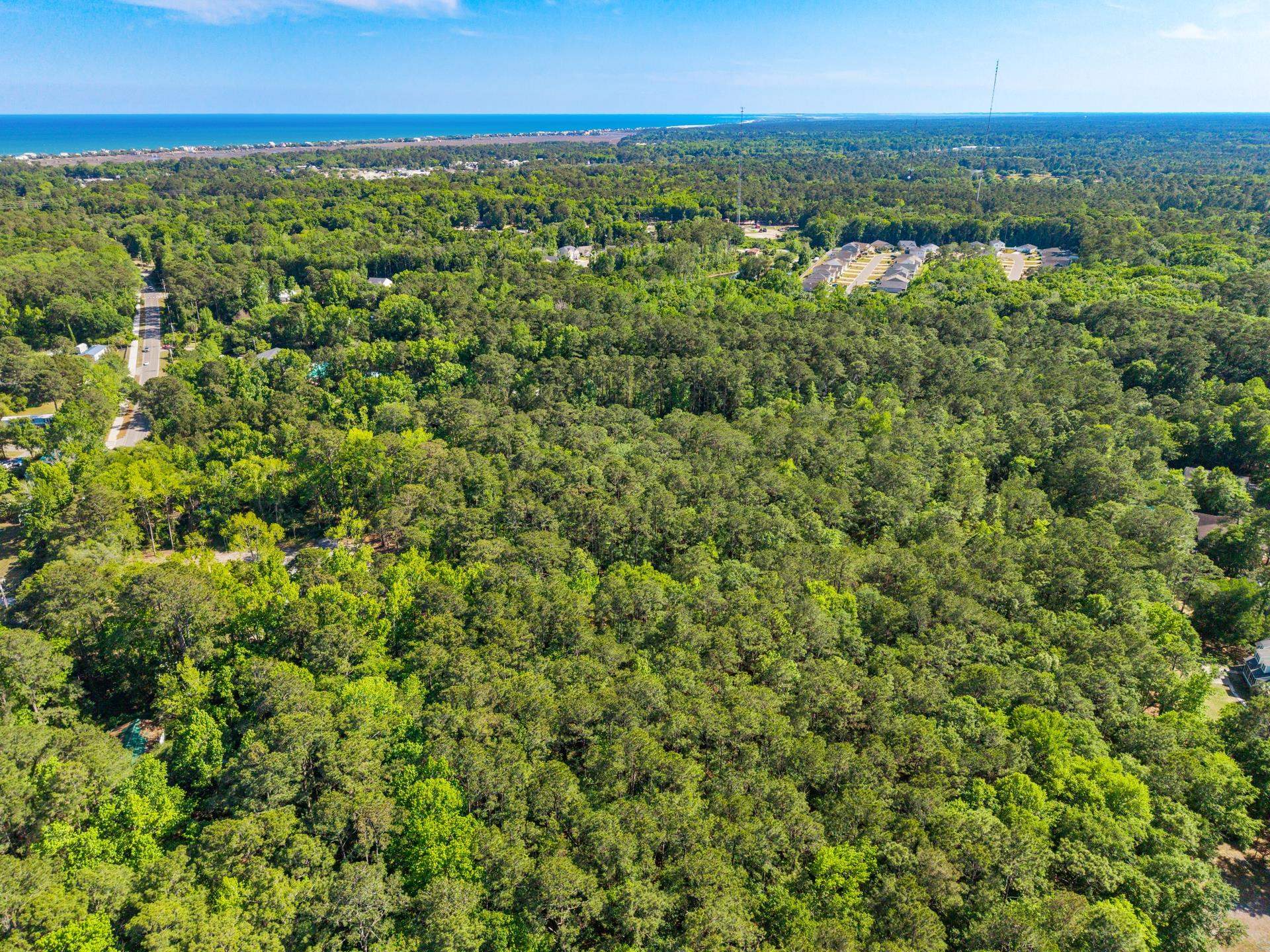 Waverly Road Pawleys Island, SC 29585 - Photo 3 of 9