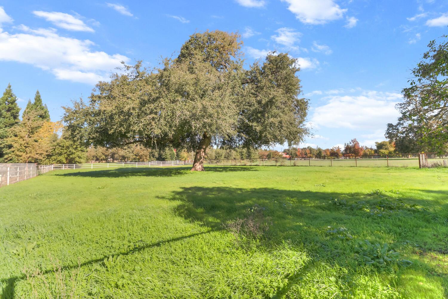 10412 Sheldon Road Elk Grove, CA 95624 - Photo 92 of 94