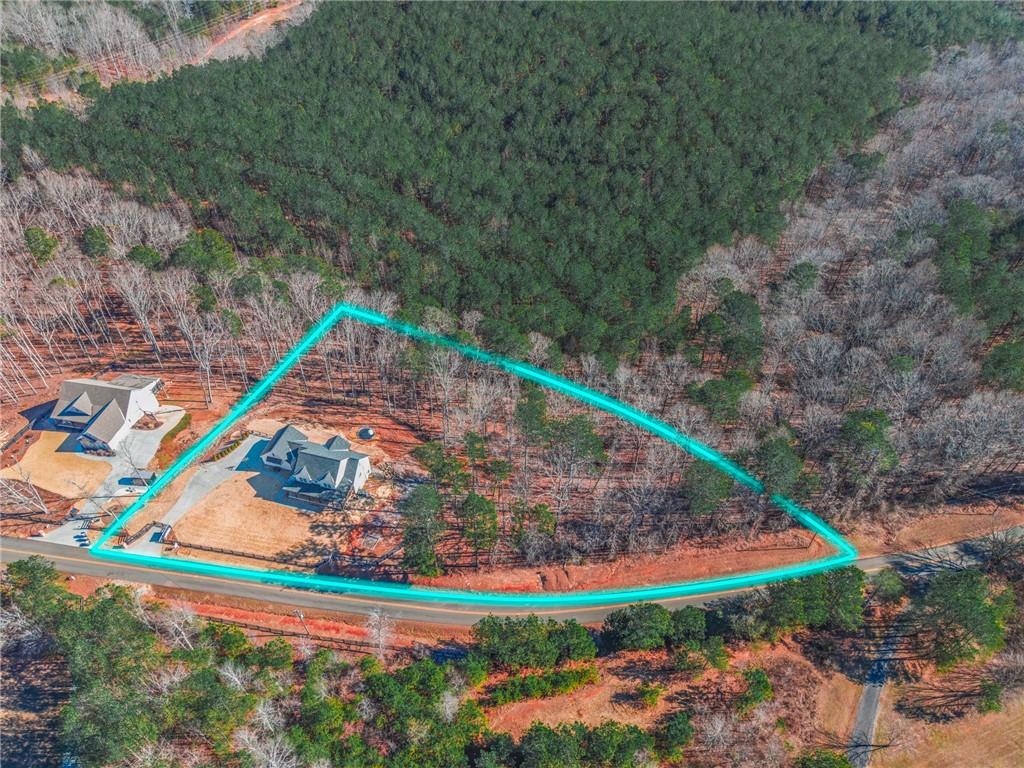 2250 Sperin Road Ball Ground, GA 30107 - Photo 49 of 58