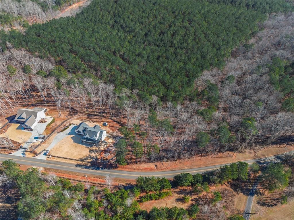 2250 Sperin Road Ball Ground, GA 30107 - Photo 51 of 58