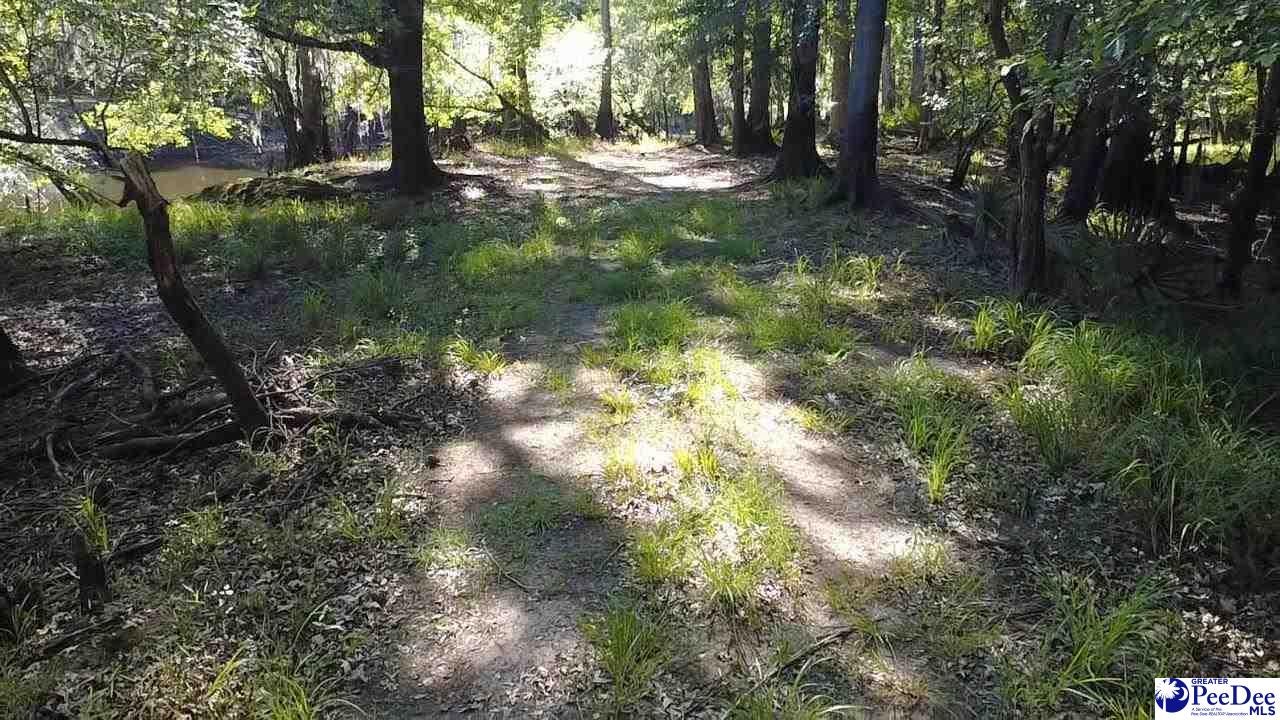 Tbd Tbd River Neck Road Florence, SC 29505 - Photo 32 of 47 Gallery Image 32