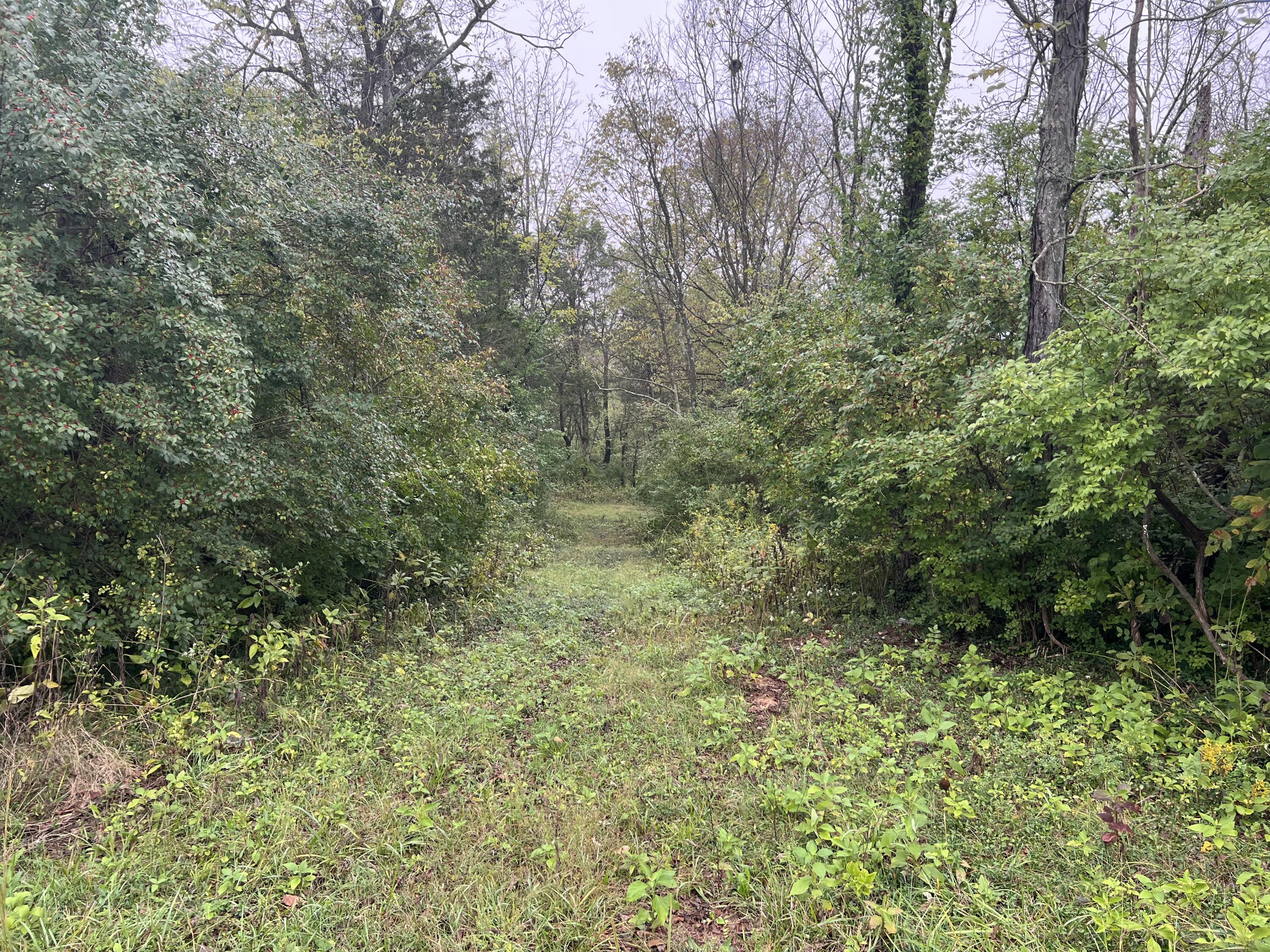 475 Curd Lane Versailles, KY 40383 - Photo 10 of 15 IMG_3427