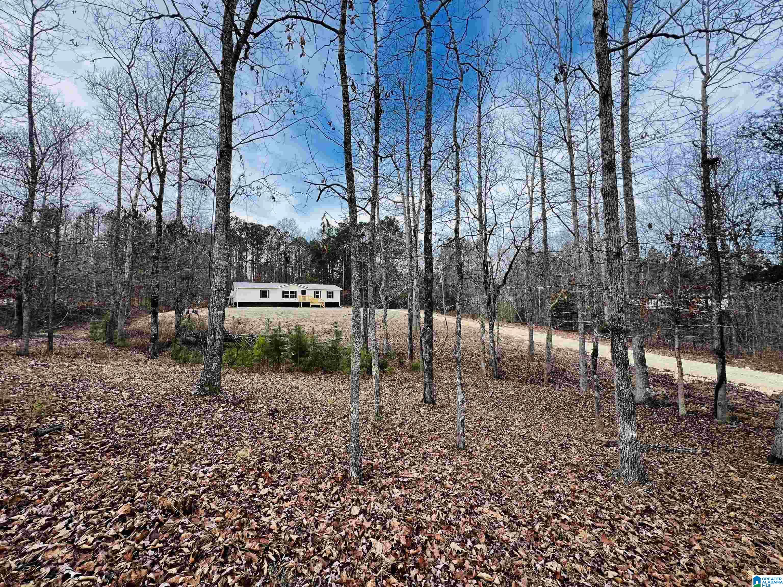 2415 Francis Mill Road Ohatchee, AL 36271 - Photo 40 of 44