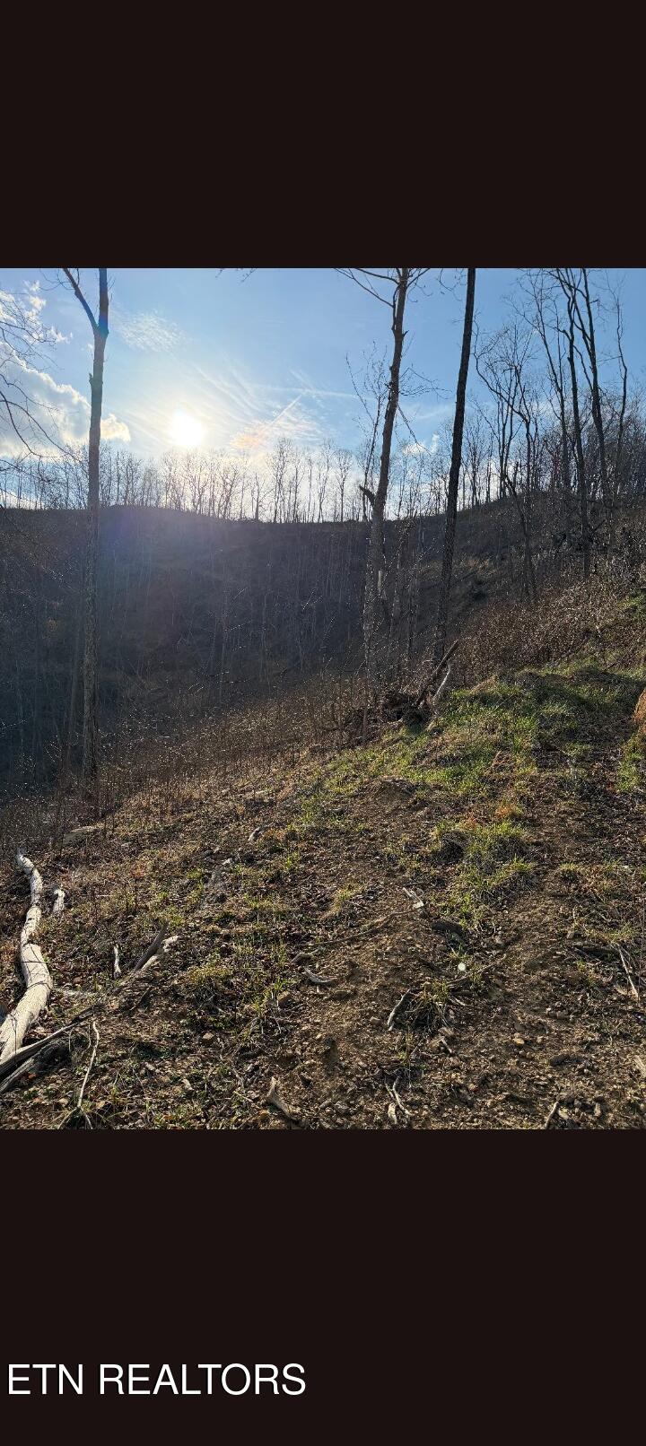 100 Knot Hole Left Road Arjay, KY 40902 - Photo 9 of 14 4871154502390244195