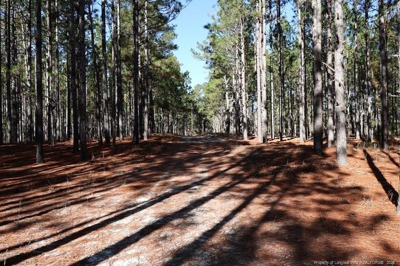 Stuarts Mill Road Fairmont, NC 28340 - Photo 12 of 15 Photo 12