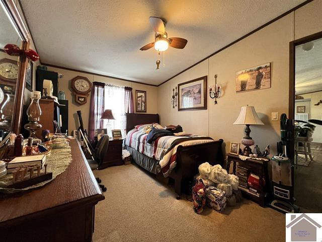 820 3rd Street Hazel, KY 42049 - Photo 18 of 27 Bedroom Three